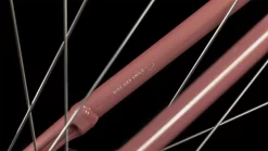 Cube Ella Cruise Hybrid 500 Easy Entry Twinkle´n´cream Women | Bike-Discount -Cube Bicycle Cube Ella Cruise Hybrid 500 Easy Entry twinkle n cream 632611 5 1280x1280